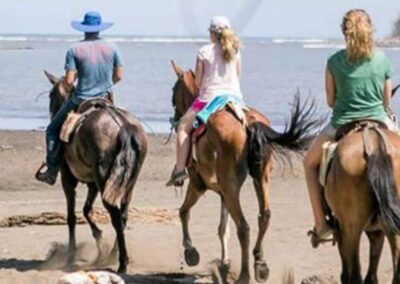 Carara Adventure Park